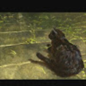 Meet your Posher, Christa